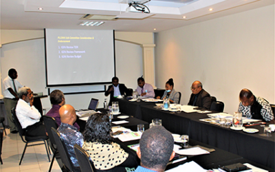 Constitutional provisions on Decentralisation